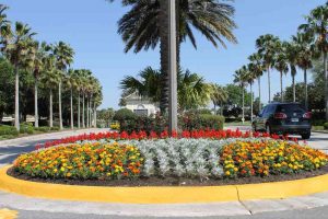 Orlando Landscaping Showcase