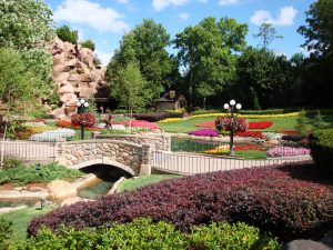 Commercial Landscaping Lake Mary